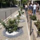 Un Giardino per Chiara Gualzetti: <br>la memoria fiorisce a Monteveglio 2 Giardino Chiara Gualzetti a Monteveglio